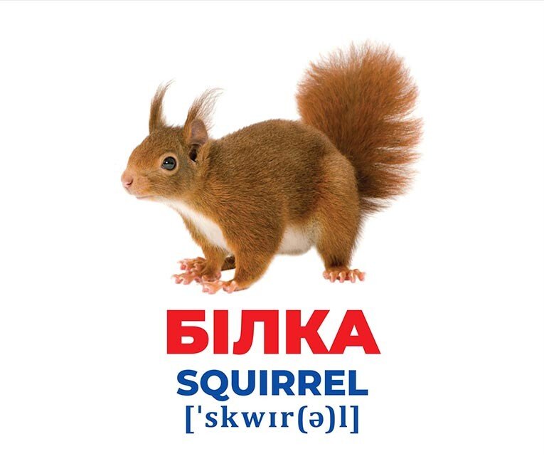 Набор учебный «Геній з пелюшок. Тварини України» 482-307-615-157-7