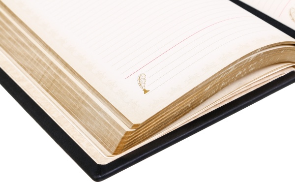 Щоденник недатований з тризубом у калиновому вінку Купола A5 304001069