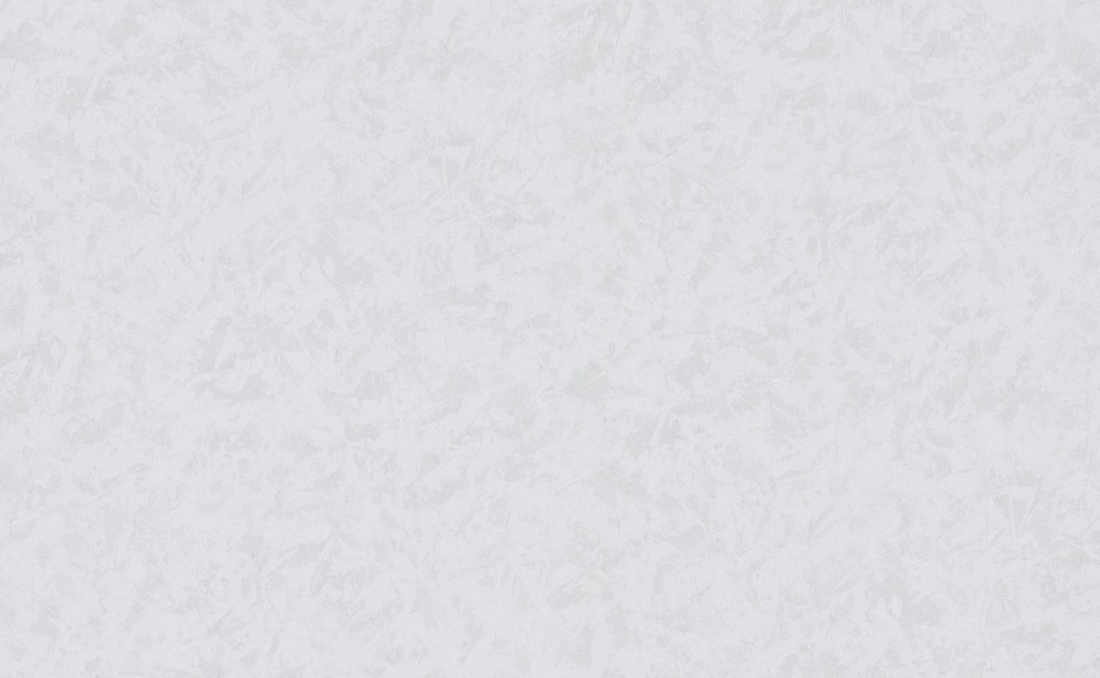 Шпалери вінілові на флізеліновій основі Bravo 81700BR21 1,06x10,05 м