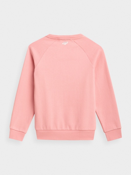 Свитшот 4F HJZ21-JBLD007-56S р. 146 розовый