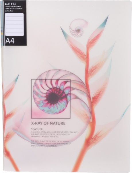 Папка Калейдоскоп А4 в ассортименте Optima