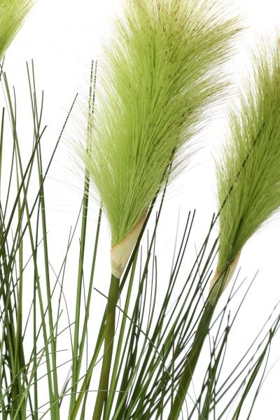 Растение искусственное Камыш A0166 зеленый