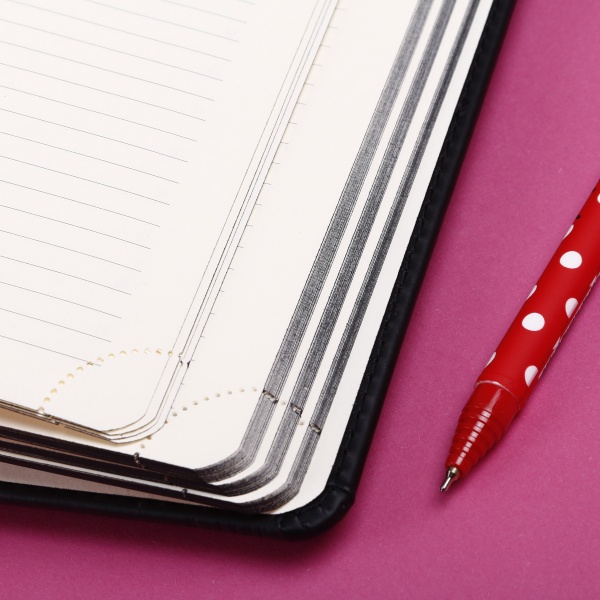 Дневник недатированный CASTELLO черный Buromax A5 2023