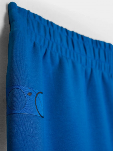 Шорти 4F 4FRSS23TSHOM375-33S р. S синій