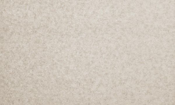 Шпалери вінілові на флізеліновій основі Bravo SIMPLE SP500-05 1,06x10,05 м 