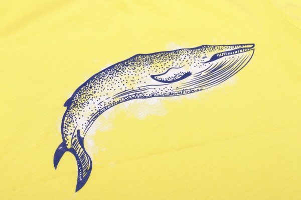 Футболка для хлопчиків Luna Kids Whale р.152 жовтий 