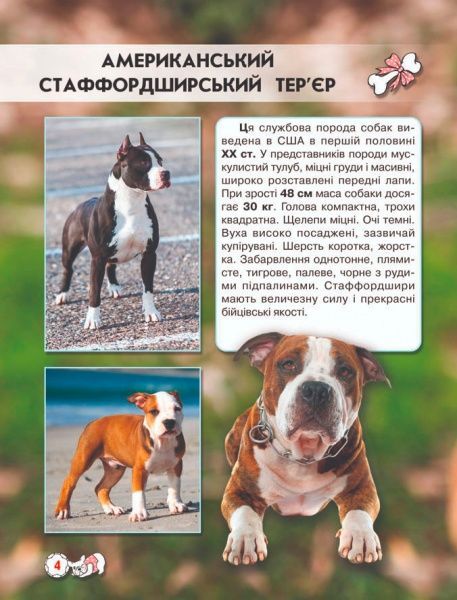 Книга Тамара Протасовицкая «Світ навколо нас. Собаки» 978-966-936-748-8