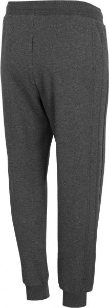 Брюки 4F D4Z20-SPDD252-25M р. XS серый