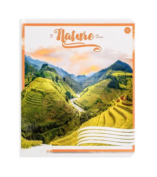 Комплект тетрадей Атмосферная природа 24 листа в клетку 20 шт. Поділля