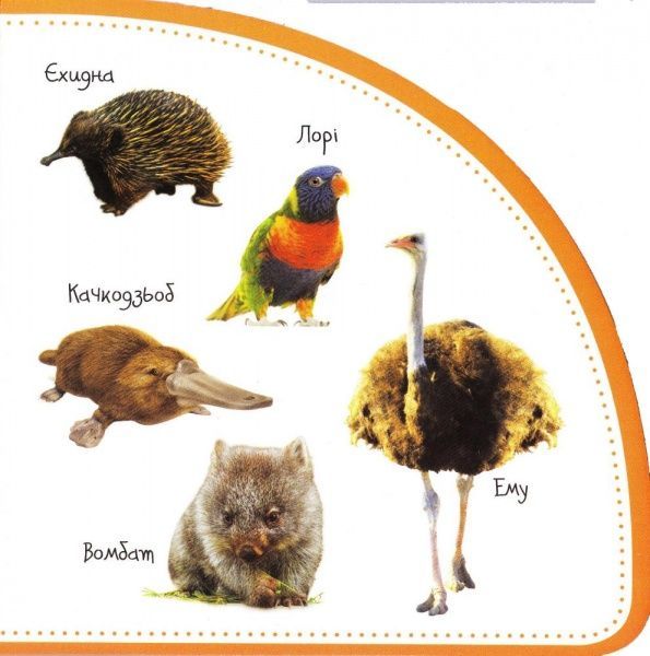 Книга Мария Жученко «Тварини. Дивимось і запам'ятовуємо» 978-966-942-069-5