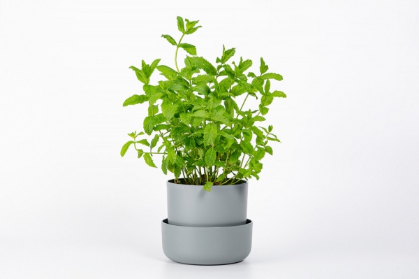 Вазон пластиковый Plastia с поддоном Tolita 16 см круглый 1,3 л серый (1707281620R) 