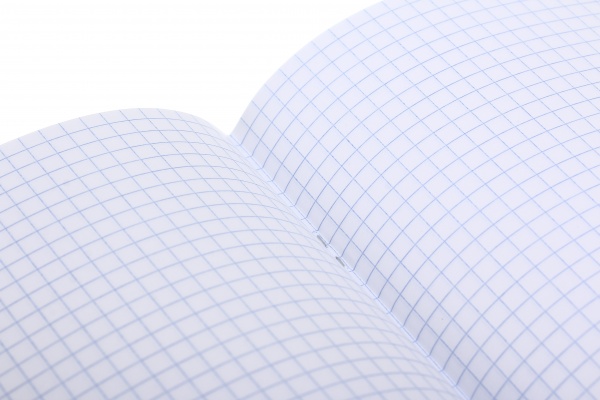 Тетрадь школьная 96 листов в клеточку в ассортименте Мечты сбываются