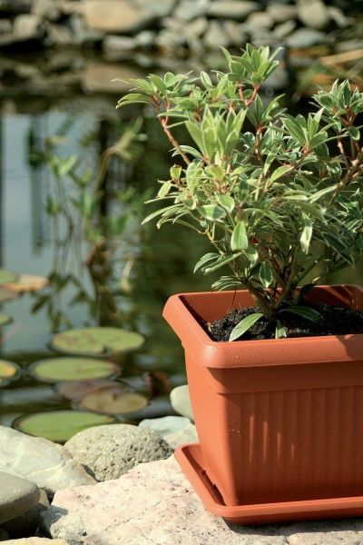 Горшок пластиковый Тера 4 300 мм квадратный 13,8л терракот (11084) 