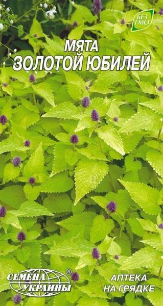 Семена Семена Украины Мята Золотой юбилей 0,1 г