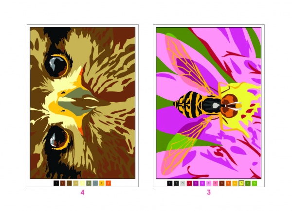 Розмальовка «50 магічних фарбованок. Зоосвіт» 978-617-7853-37-3