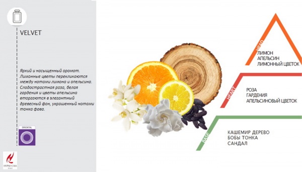 Парфуми Hypno Casa VELVET 10 мл 2 шт.