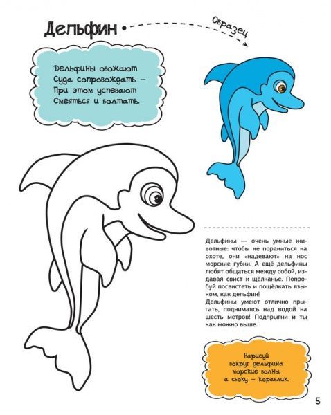 Розмальовка Анна Алєшичева «Мешканці моря» 978-617-690-808-1