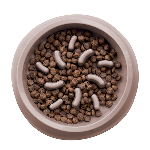 Миска Chic для тварин 0,5 л смарагдовий