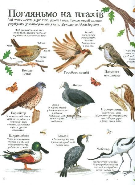 Книга Минна Лейси «Велика ілюстрована книга про природу» 978-617-7579-24-2