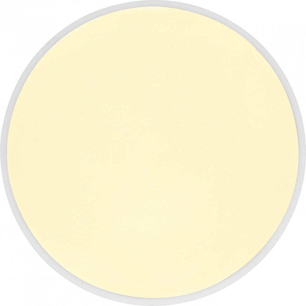 Світильник стельовий Sensio Nicco LED 48 Вт білий/сірий 3000-6500 К AR-N250301424