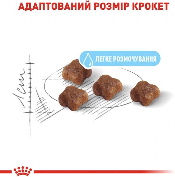 Корм Royal Canin Mother and Babycat 2 кг