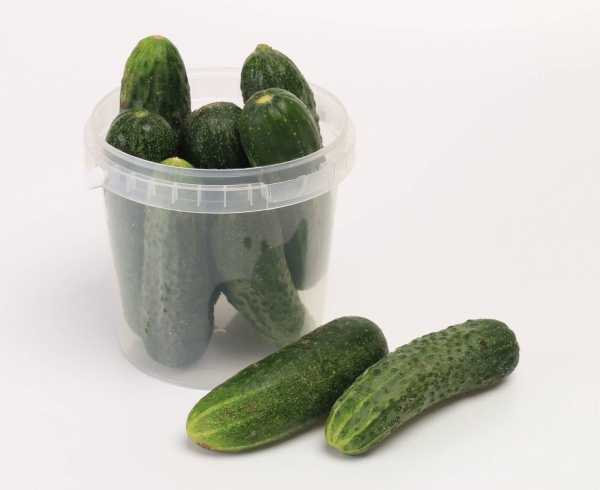 Відро Poliplast кругле з пластиковою ручкою (харчовий пластик) 1 л прозорий 