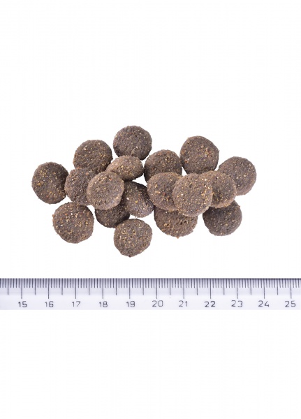 Корм сухой для всех пород Brit Care Hypoallergenic Dog Show Champion с лососем 12 кг