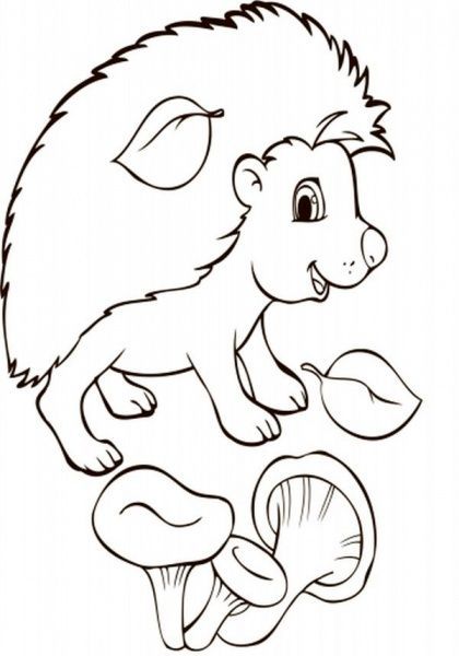 Розмальовка «Розмальовки у сумочці Звірятка» 978-966-74-8461-3