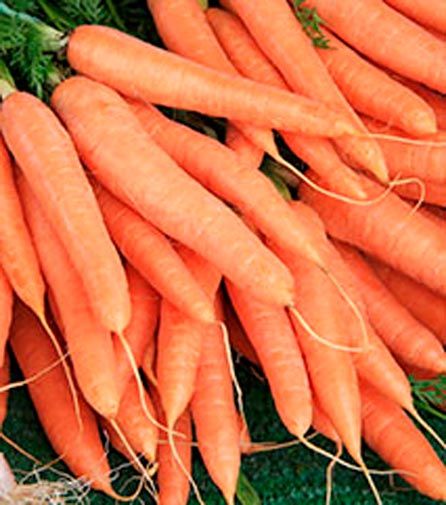 Семена Садовий Світ морковь Витаминная 2г