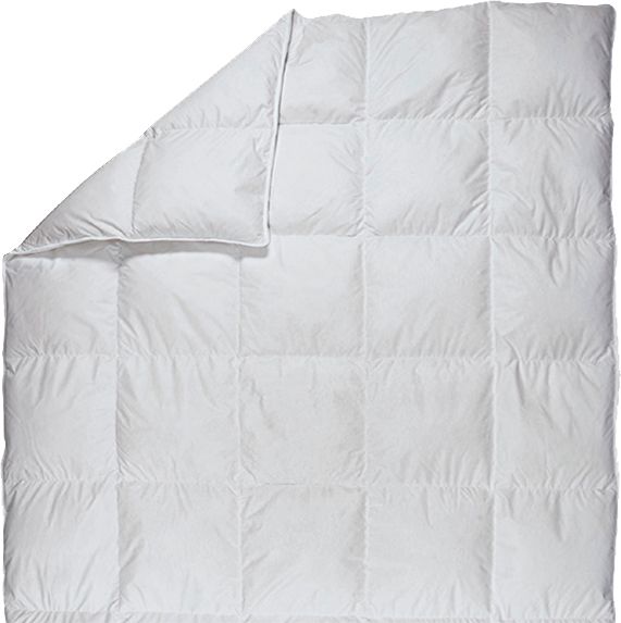 Одеяло Планта натуральная 200x220 см Billerbeck