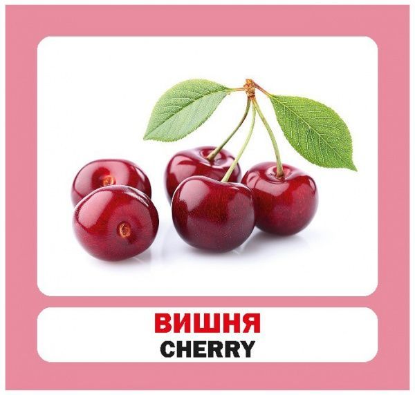 Книга «Навчальний посібник. Ягоди. англ-укр»