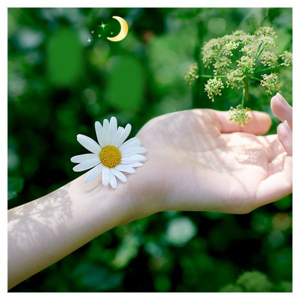 Прокладки гігієнічні Naturella Ultra Camomile night 28 шт.