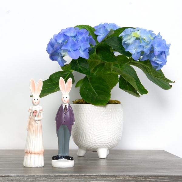 Кашпо керамическое МВМ DH-FLOWERS-26 S WHITE 9 см Белый 