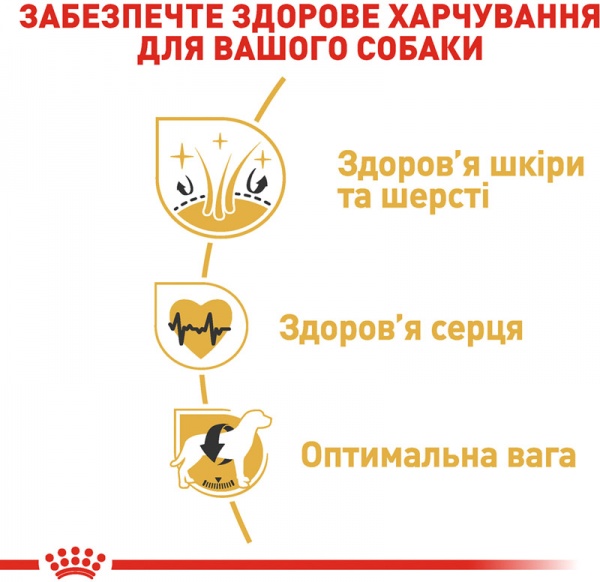 Корм Royal Canin для собак GOLDEN RETRIEVER ADULT (Голден Ретривер Едалт), 12 кг (свійська птиця, рис, кукурудза) 12 кг