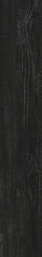 Плитка Allore Group Albero Black F PR R Mat 19,8x120 см