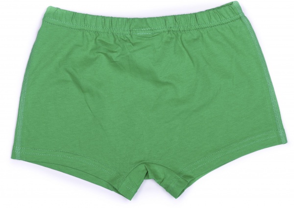 Трусы для мальчиков Luna Kids р.134–140 зеленый MOR-2-2015/зелений/134-140 