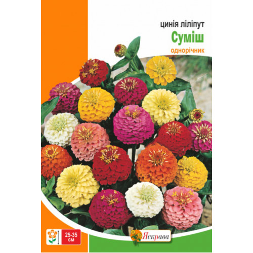 Семена Яскрава цинния Цинния лилипут Смесь