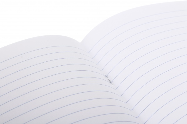 Тетрадь школьная Dinosaur 18 листов линия Nota Bene