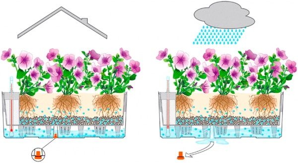 Ящик балконный Lechuza Balconera Cottage 80 прямоугольный 28,9л темно-серый 