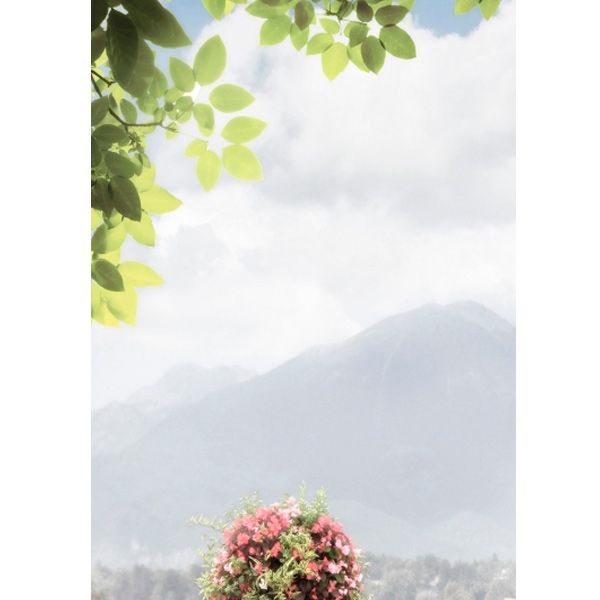 Декор Golden Tile Troyanda Sorrento №1 60Б311 250х330 мм