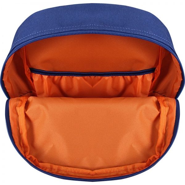 Рюкзак молодежный Bagland сублимация 742 (508662)