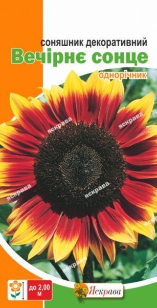 Семена Яскрава подсолнух декоративный Вечернее солнце 2 г (4823069860776)