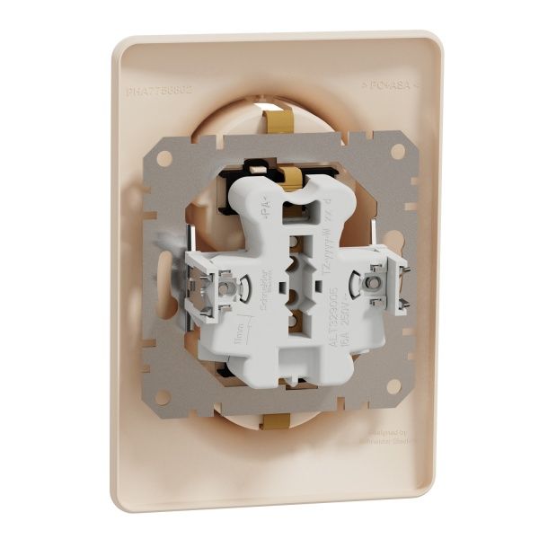 Розетка силовая двойная с заземлением Schneider Electric Sedna Design со шторками без крышки бежевый SDD312221