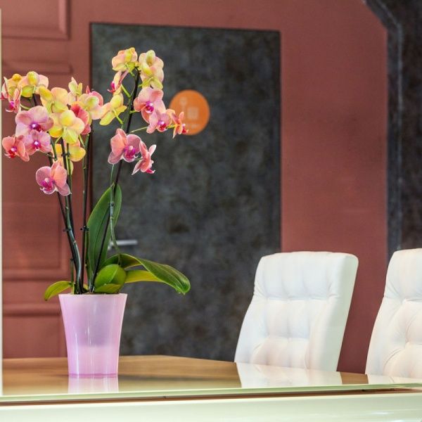 Горщик пластиковий Santino Arte-Dea круглий 1,25 л лотос (ADEA125PNK) 