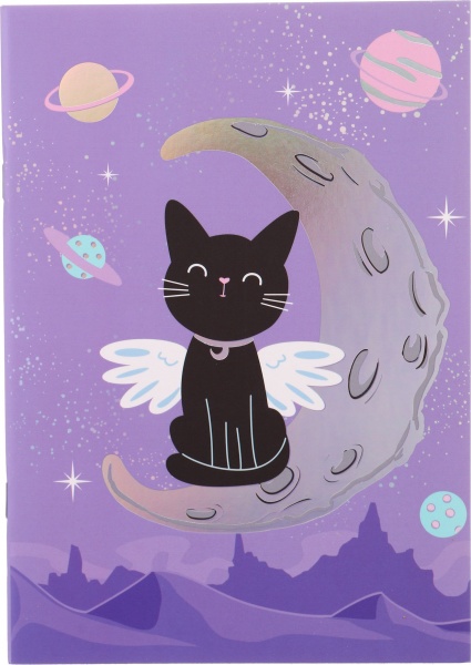 Набор книг Котик-ангелочек на месяце 32 листа 2 шт.