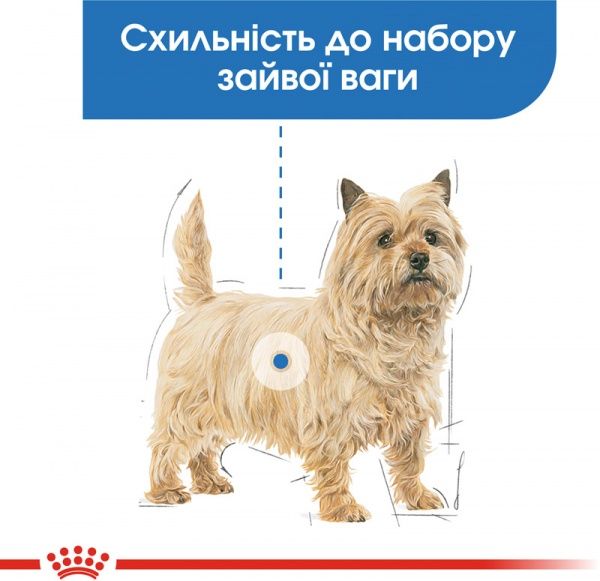 Консерва Royal Canin для собак LIGHT WEIGHT CARE (Ол Сайзес Лайт Вейт Кер), пауч, 85 г