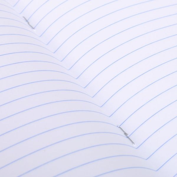 Тетрадь школьная 18 листов в линию Shark