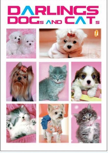 Книга для нотаток А5 60 YES