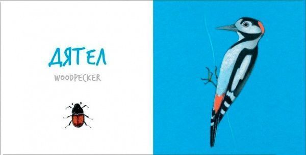 Книга «Книга. Птах» 9786177395262