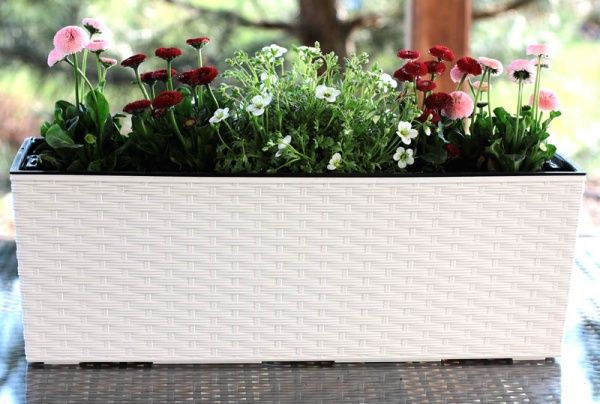 Горщик для квітів Lamela Бегонія ротанг прямокутний 37,7л білий 